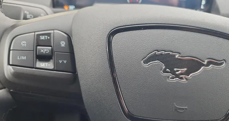 Ford Mustang Mach-E cena 240000 przebieg: 9, rok produkcji 2022 z Jabłonowo Pomorskie małe 742